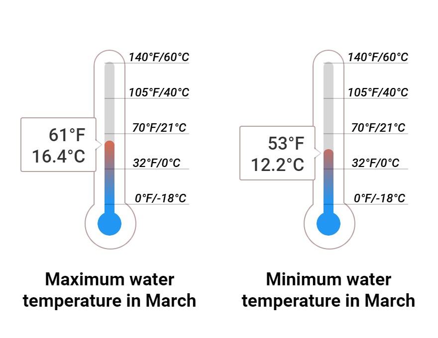 Average Sea temperature